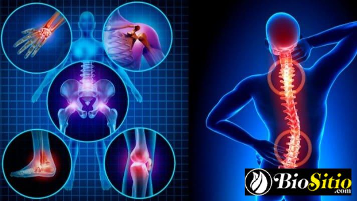 Estudio de las articulaciones