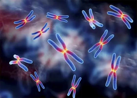 Citogenética Molecular