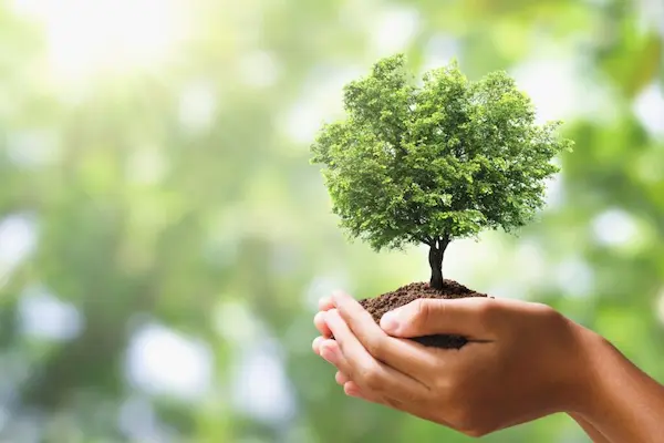 fisiología ambiental