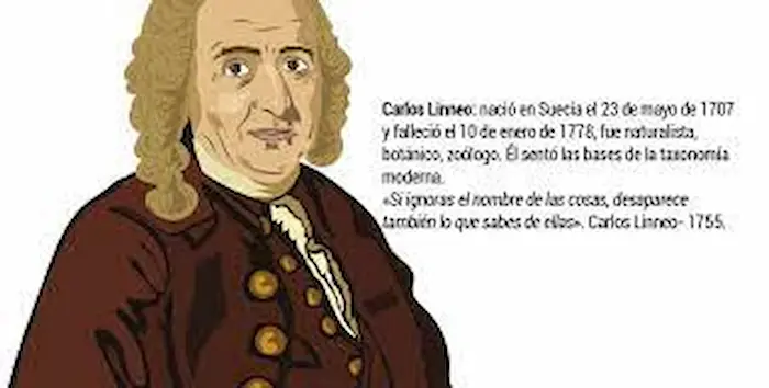 Taxonomía de Linneo