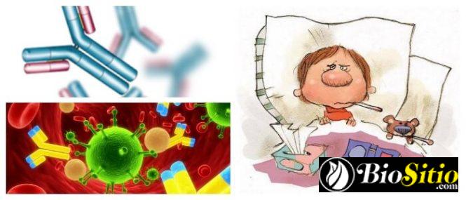 Hipogammaglobulinemia