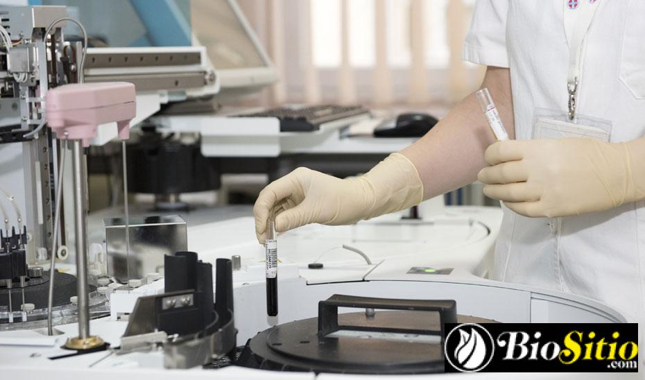 Biomedicina Molecular