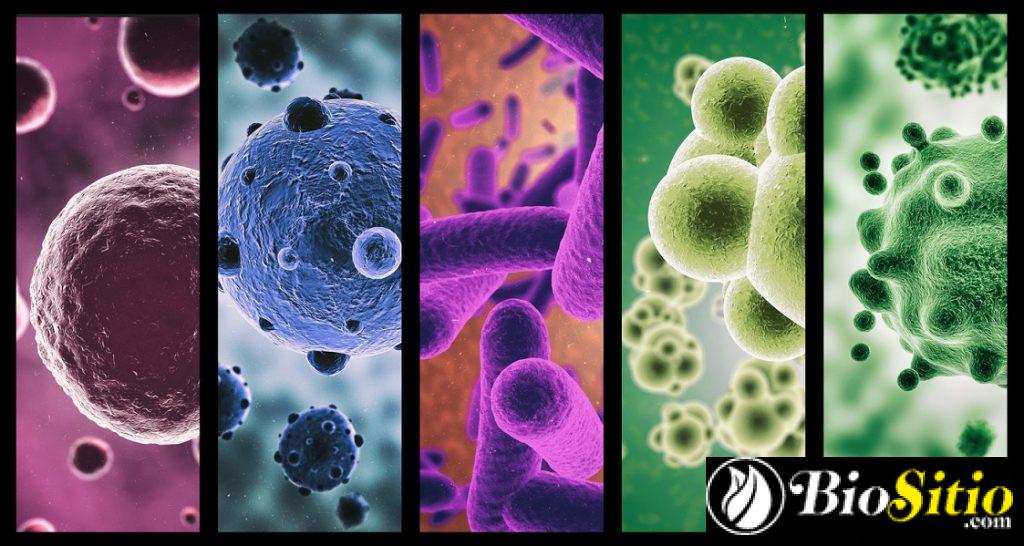 microbiología médica