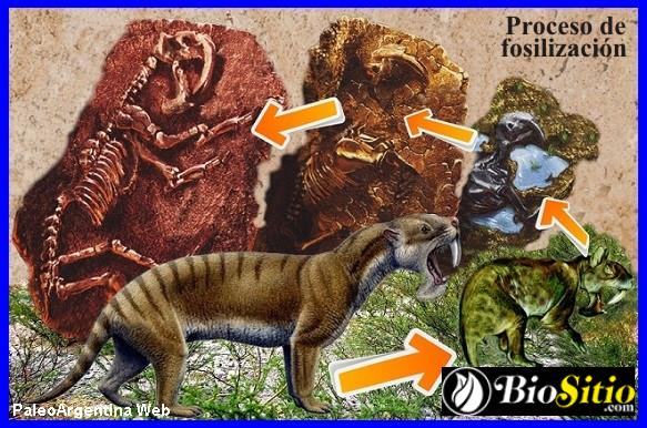 Paleoclimatología Y Micropaleontología